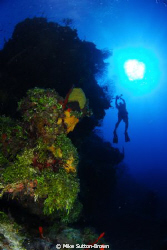 Diver on the wall in Grand Cayman by Mike Sutton-Brown 
